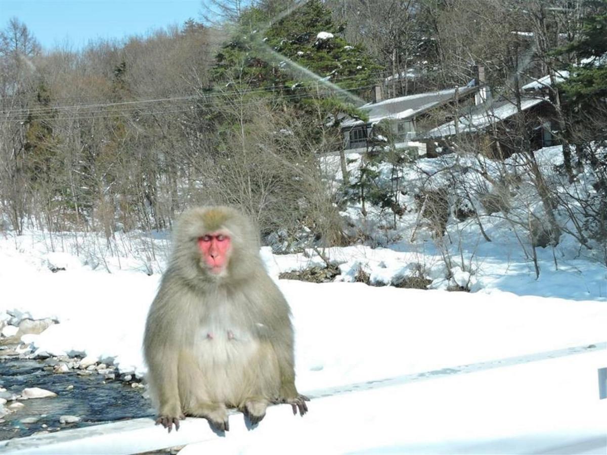 Momiji Guesthouse Cottages - Alpine Route Omachi  Extérieur photo